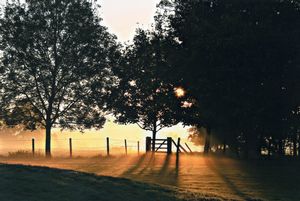 Dunchurch Hall Gardens- click for photo gallery